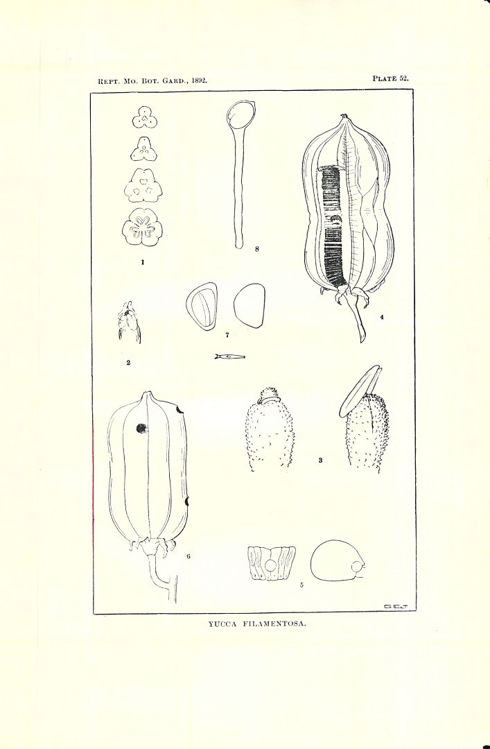 no HD illustration available (m1)