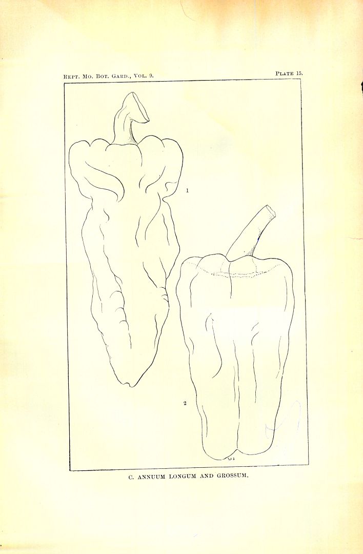 no HD illustration available (m3)