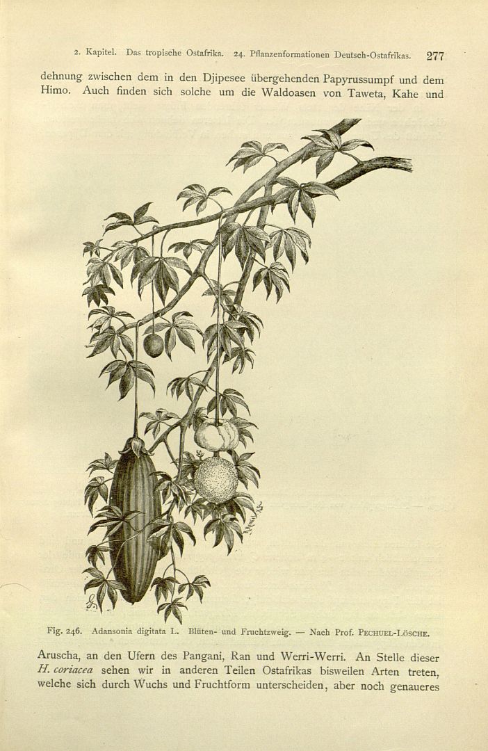 no HD illustration available (m1)