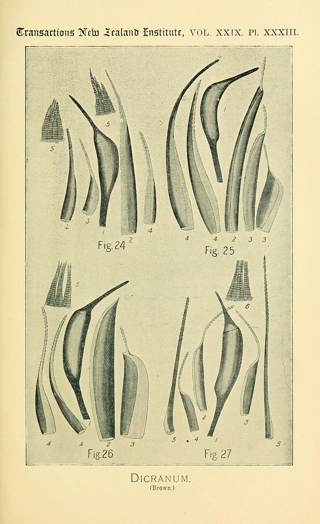 no HD illustration available (m3)