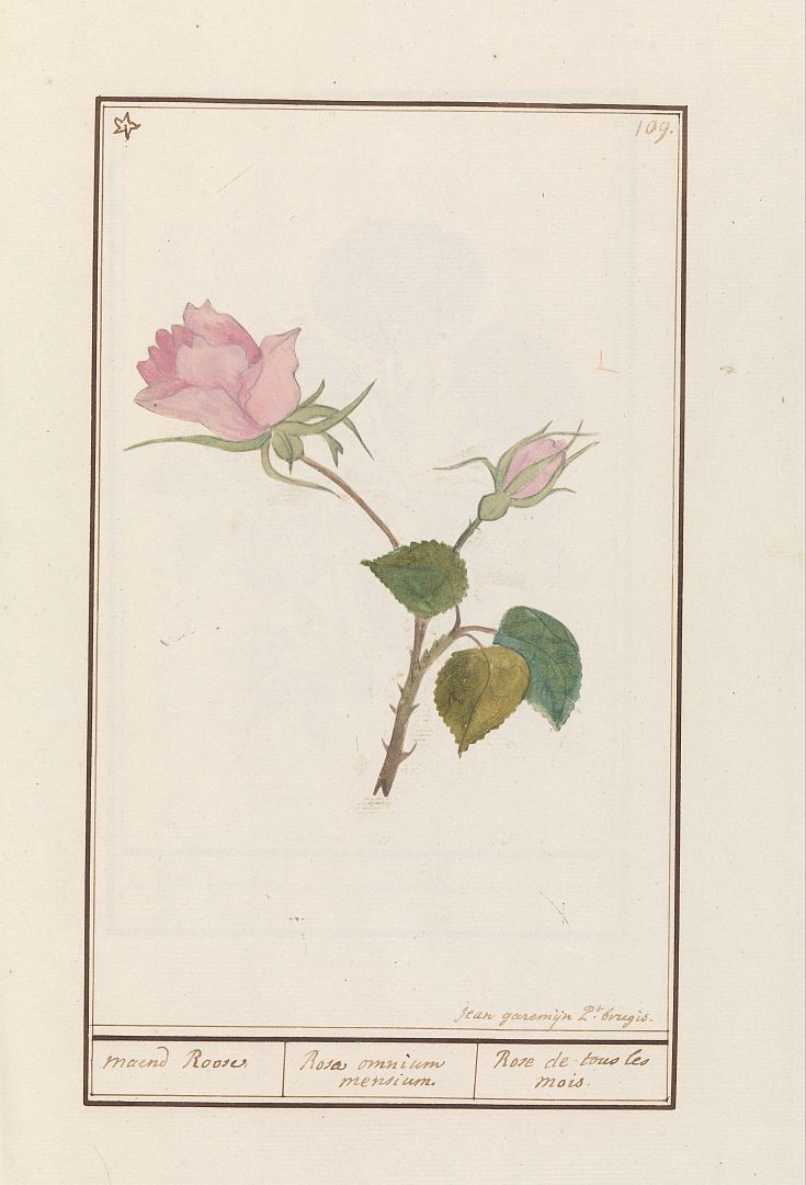 no HD illustration available (m3)