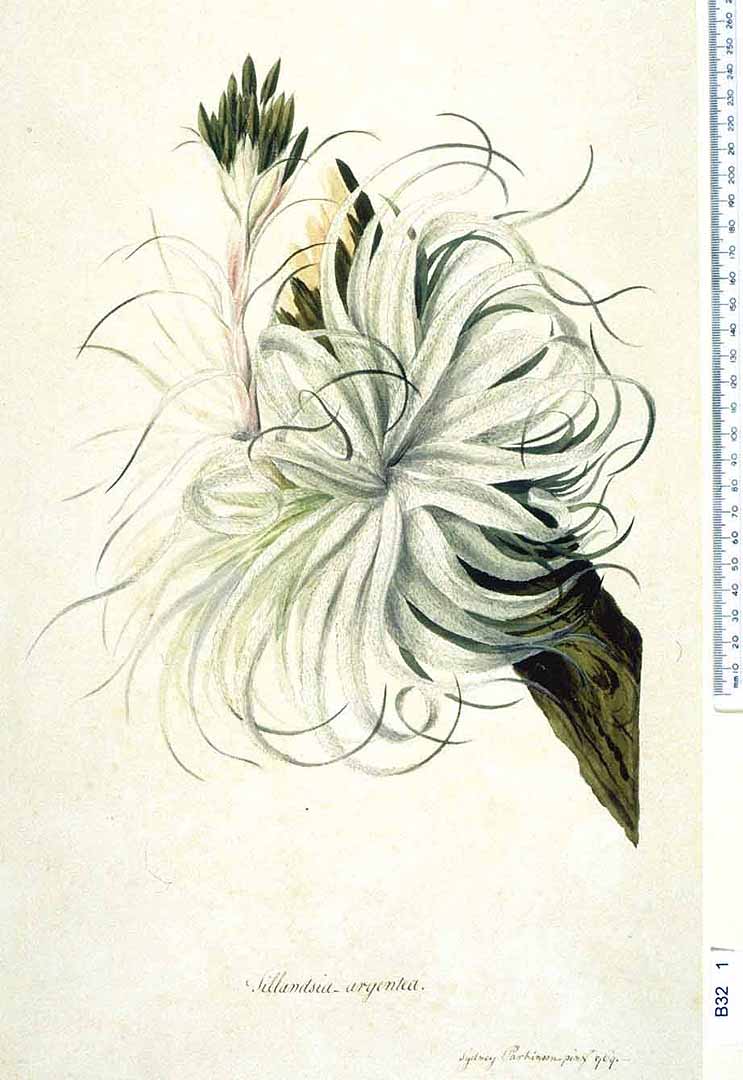 no HD illustration available (m1)