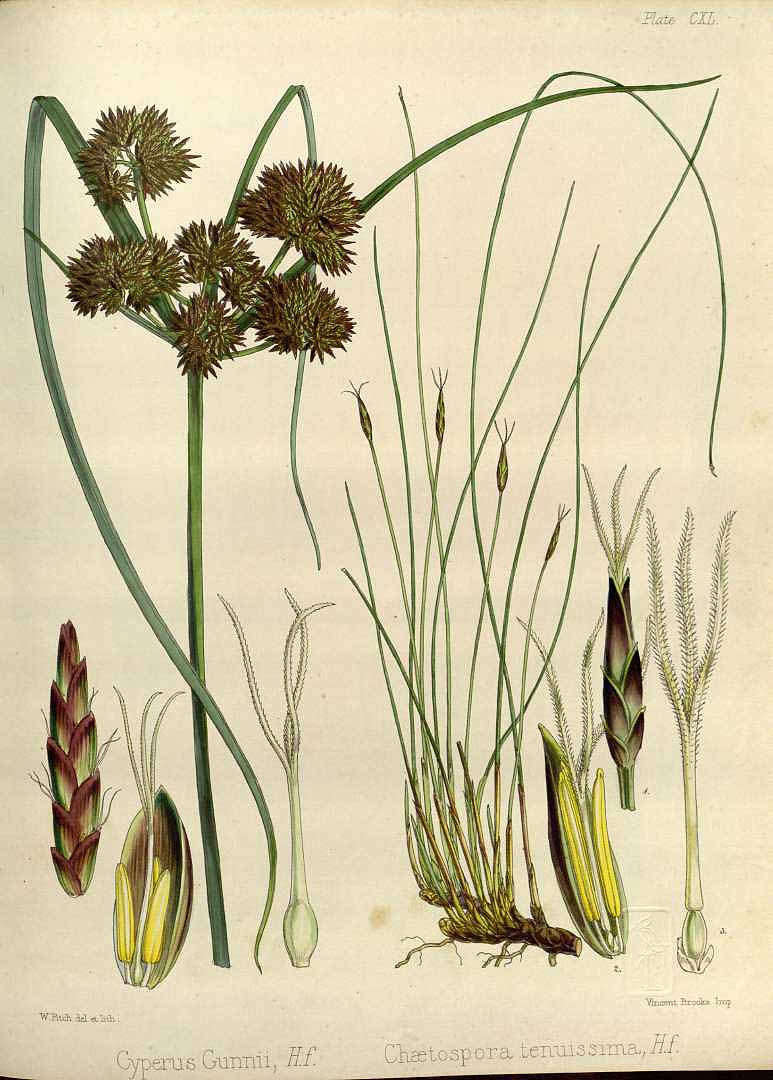 no HD illustration available (m3)