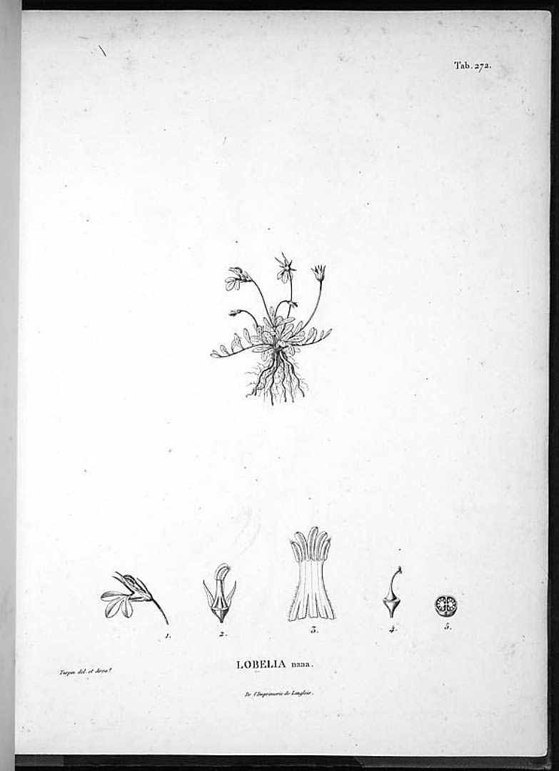 no HD illustration available (m1)
