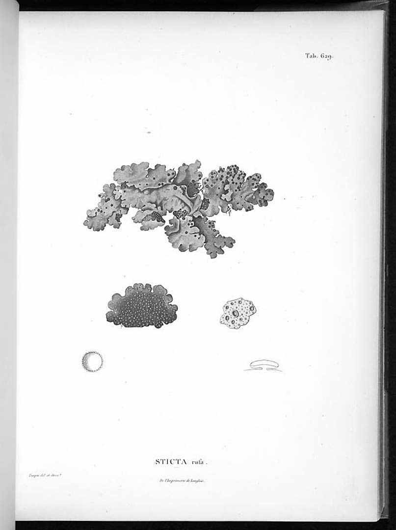 no HD illustration available (m3)
