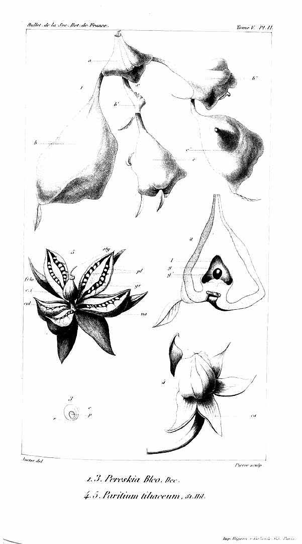 no HD illustration available (m1)