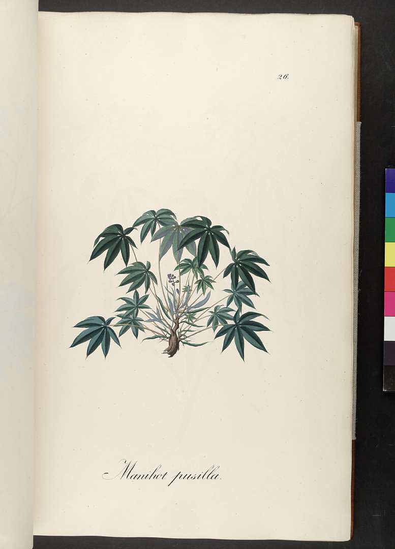 no HD illustration available (m3)