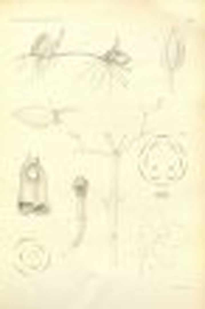 no HD illustration available (m1)