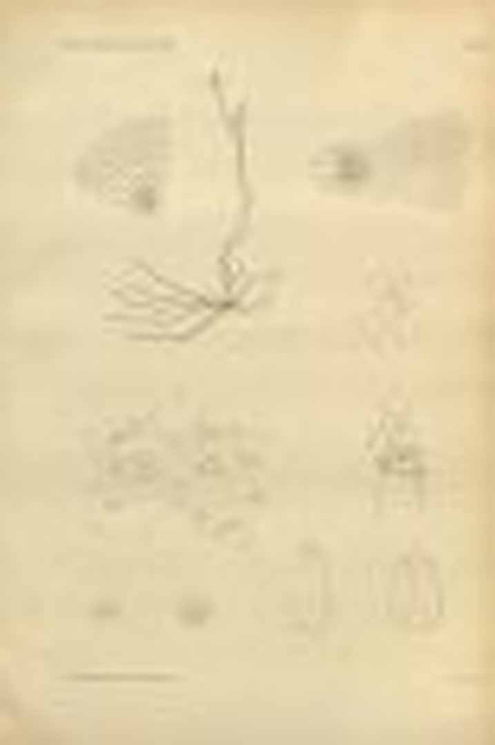 no HD illustration available (m3)