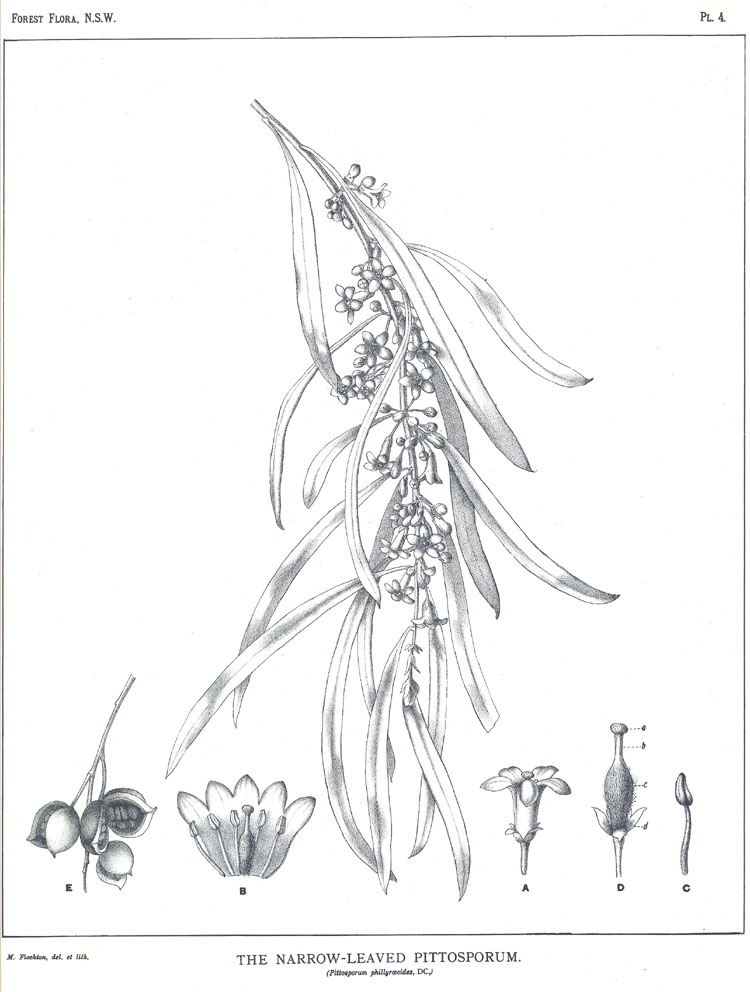 no HD illustration available (m3)