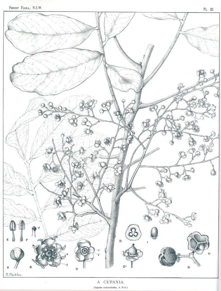 no HD illustration available (m3)