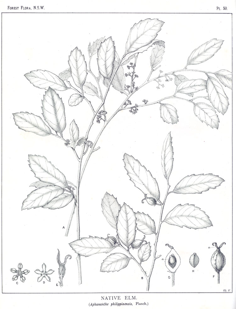 no HD illustration available (m3)