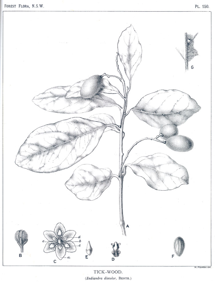 no HD illustration available (m3)