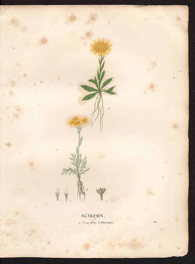 no HD illustration available (m1)