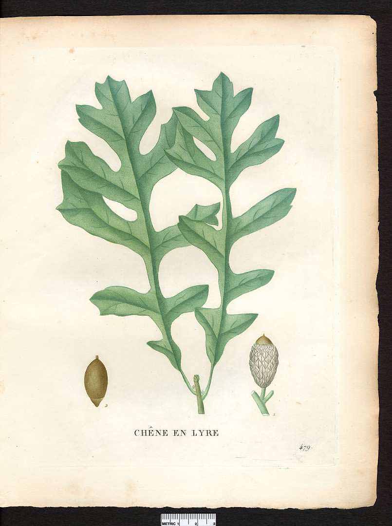 no HD illustration available (m3)