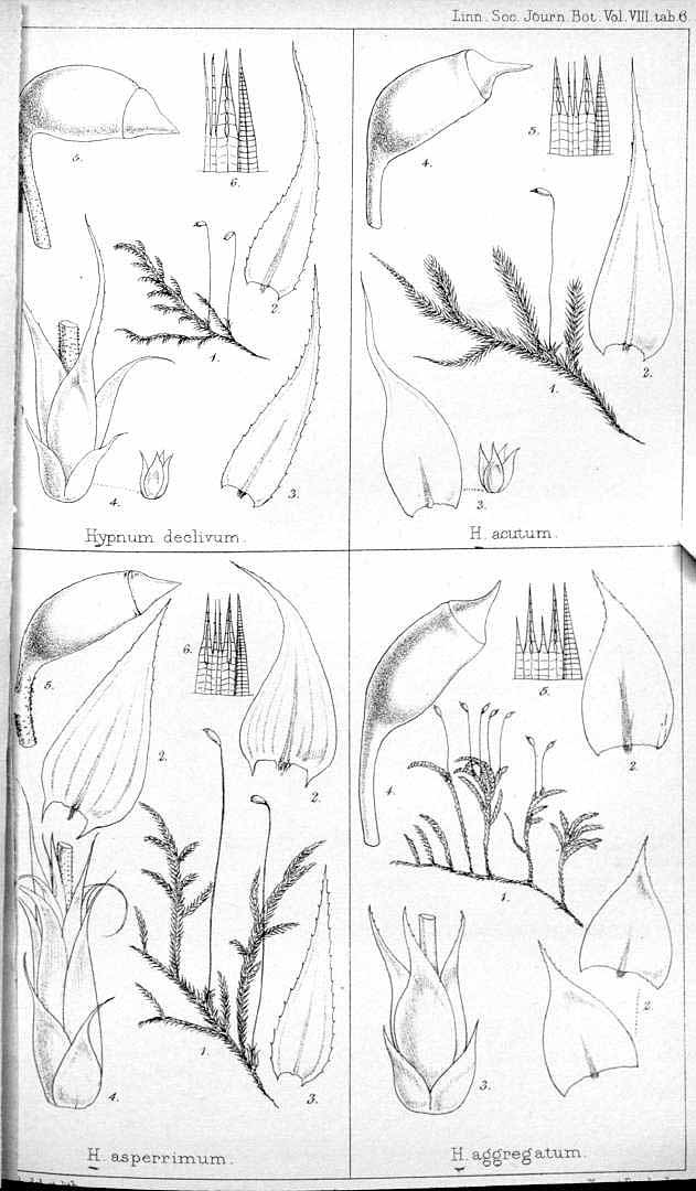 no HD illustration available (m3)