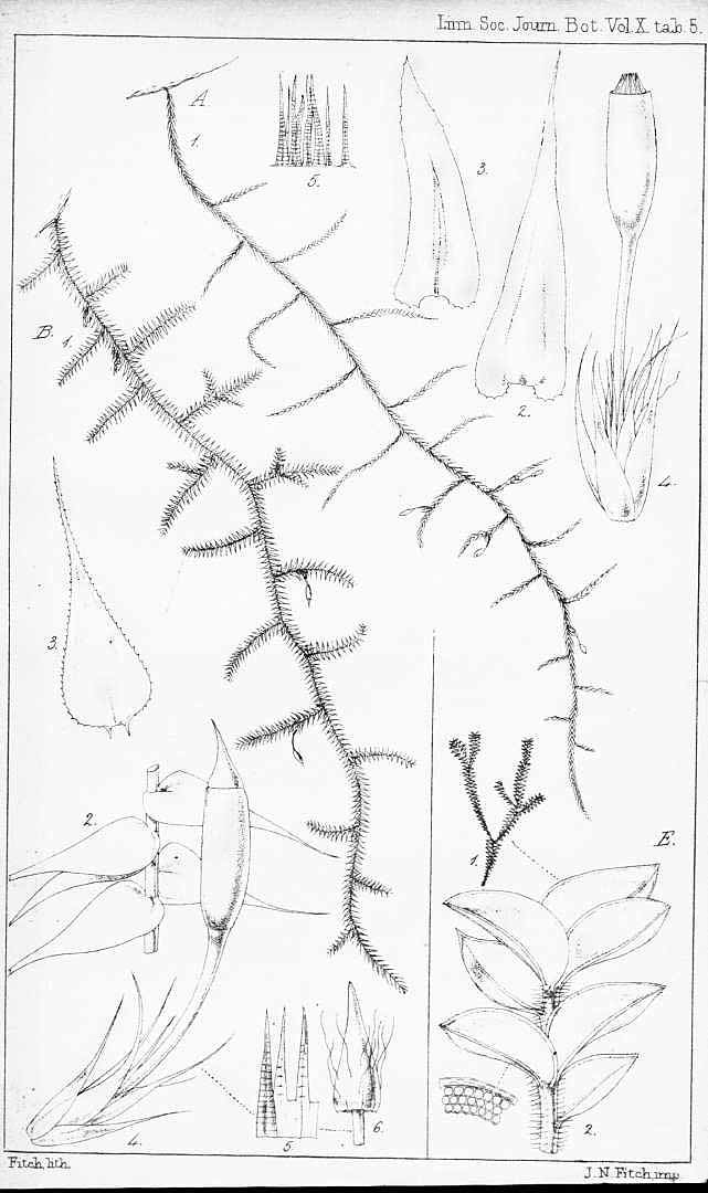 no HD illustration available (m3)