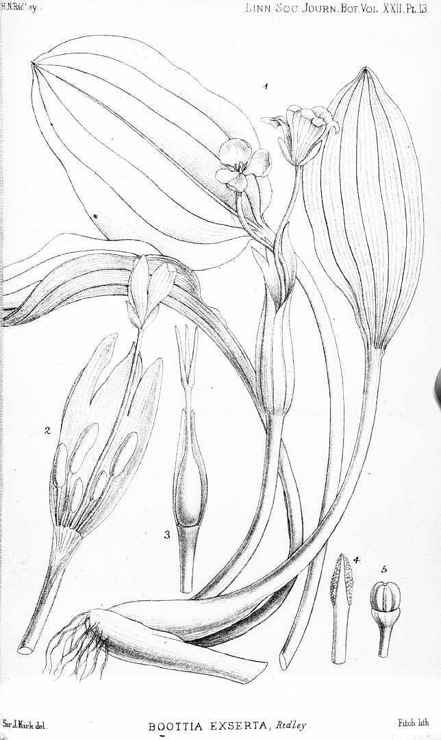 no HD illustration available (m3)