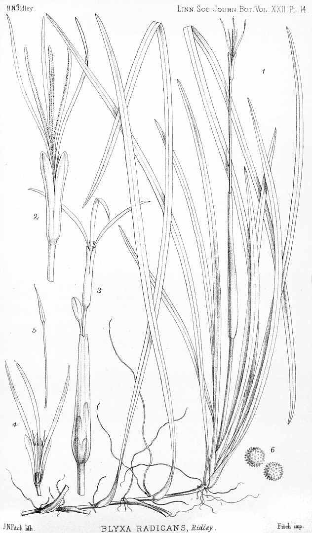 no HD illustration available (m3)