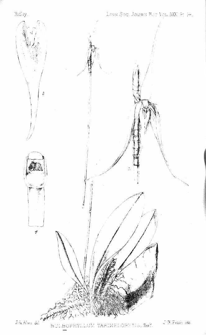 no HD illustration available (m3)