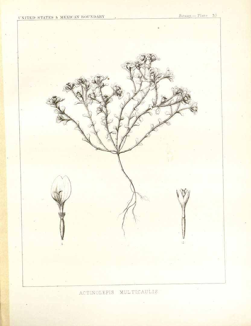 no HD illustration available (m3)