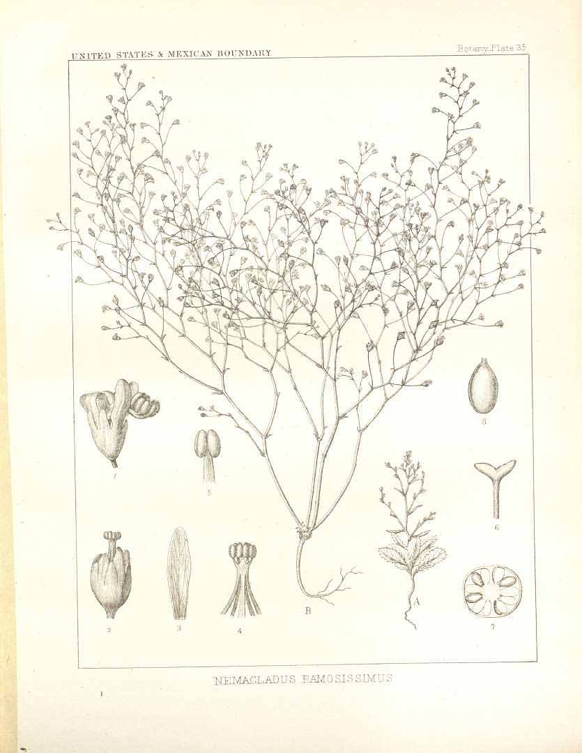 no HD illustration available (m3)