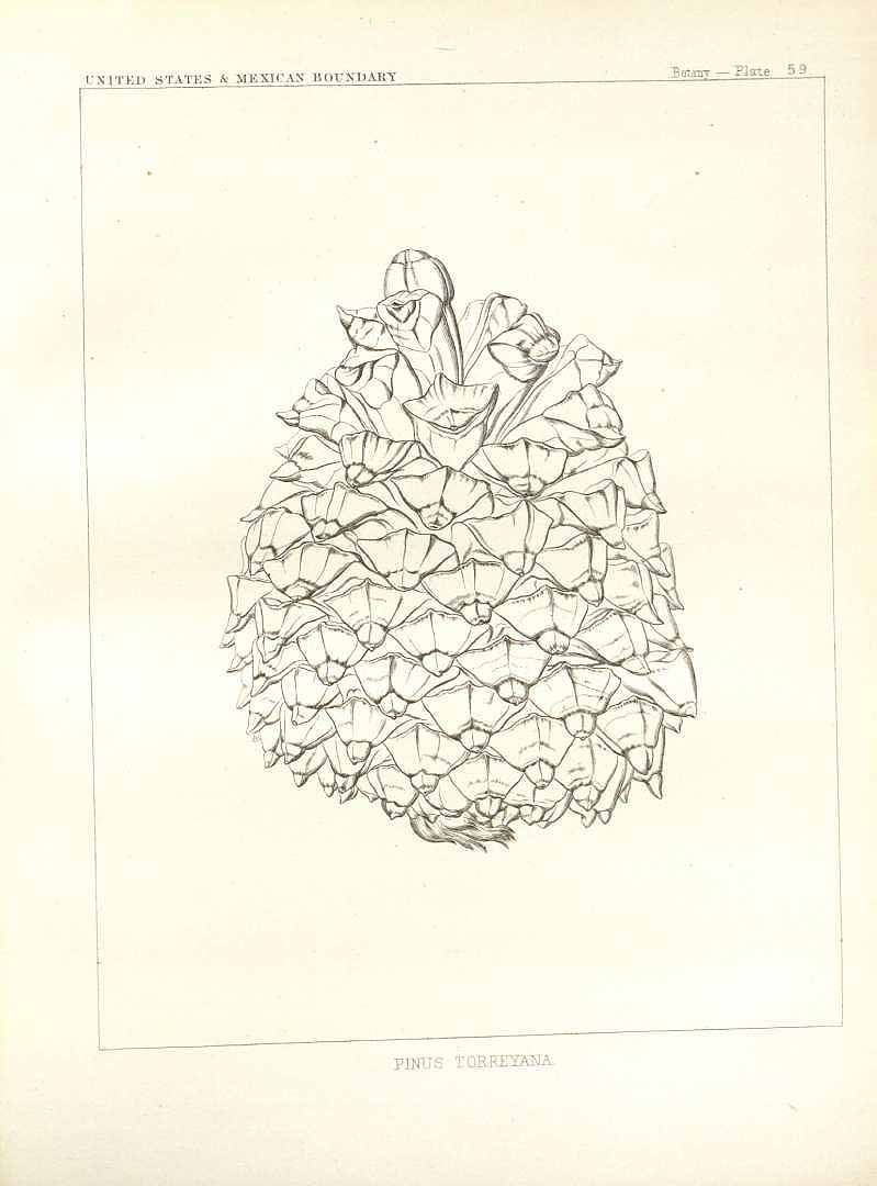 no HD illustration available (m3)
