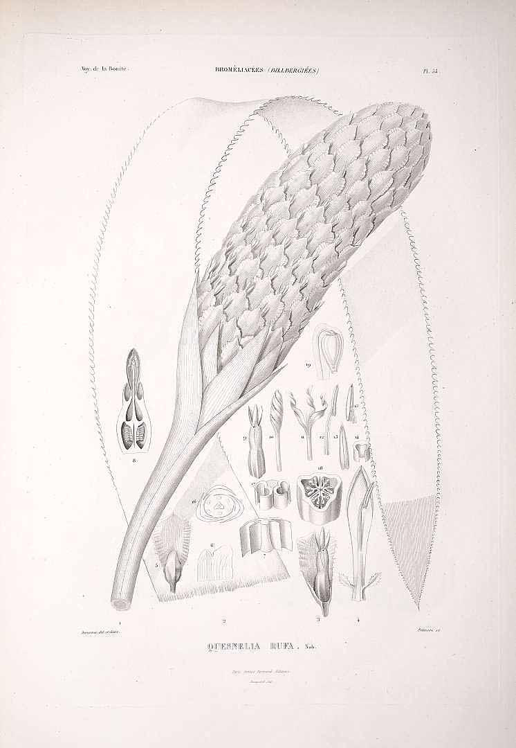 no HD illustration available (m1)
