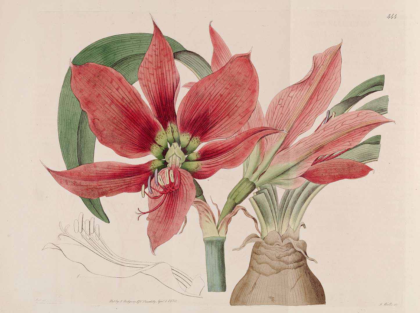 no HD illustration available (3)
