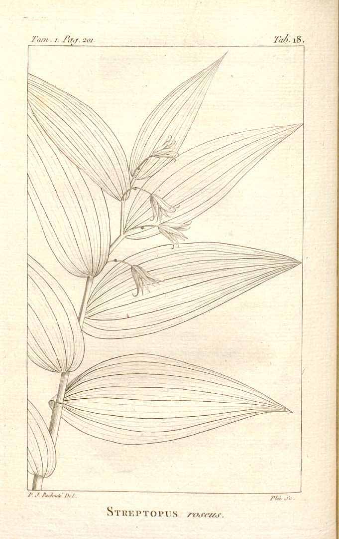 no HD illustration available (3)