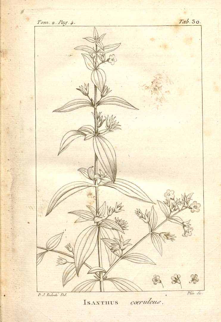 no HD illustration available (3)
