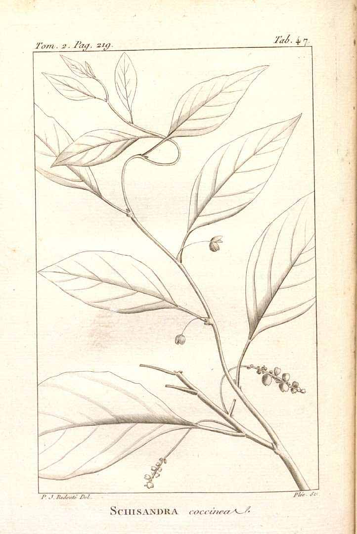 no HD illustration available (3)