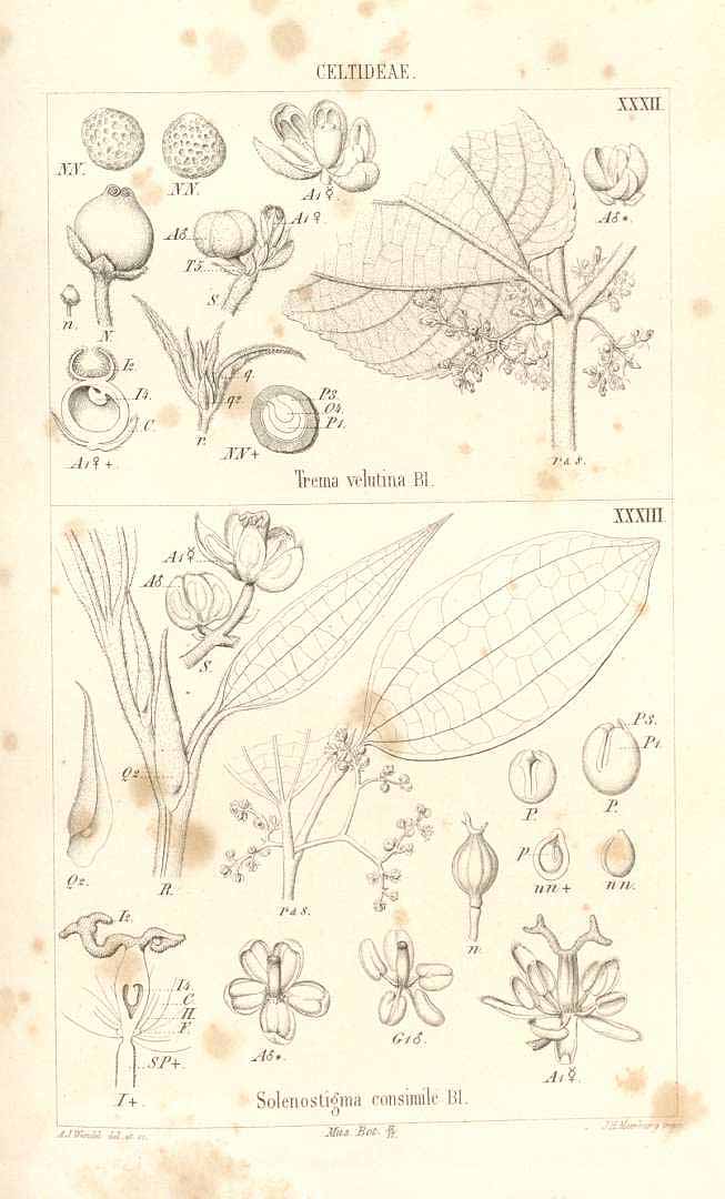 no HD illustration available (3)