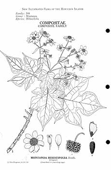 no HD illustration available (3)