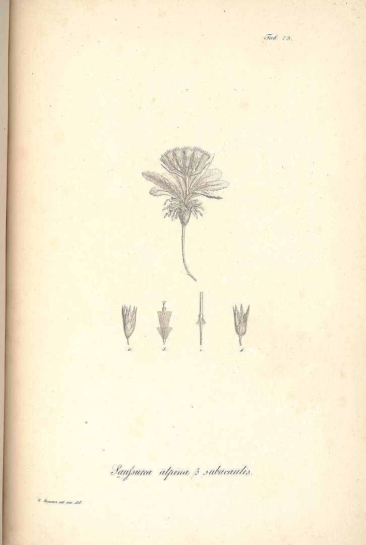 no HD illustration available (m1)