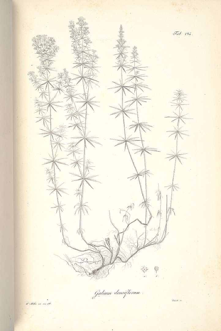 no HD illustration available (3)
