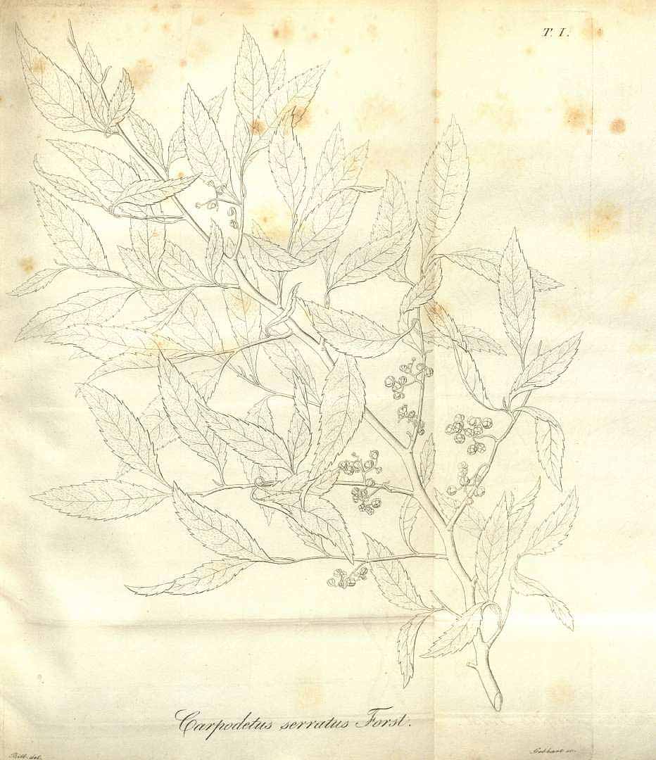 no HD illustration available (3)
