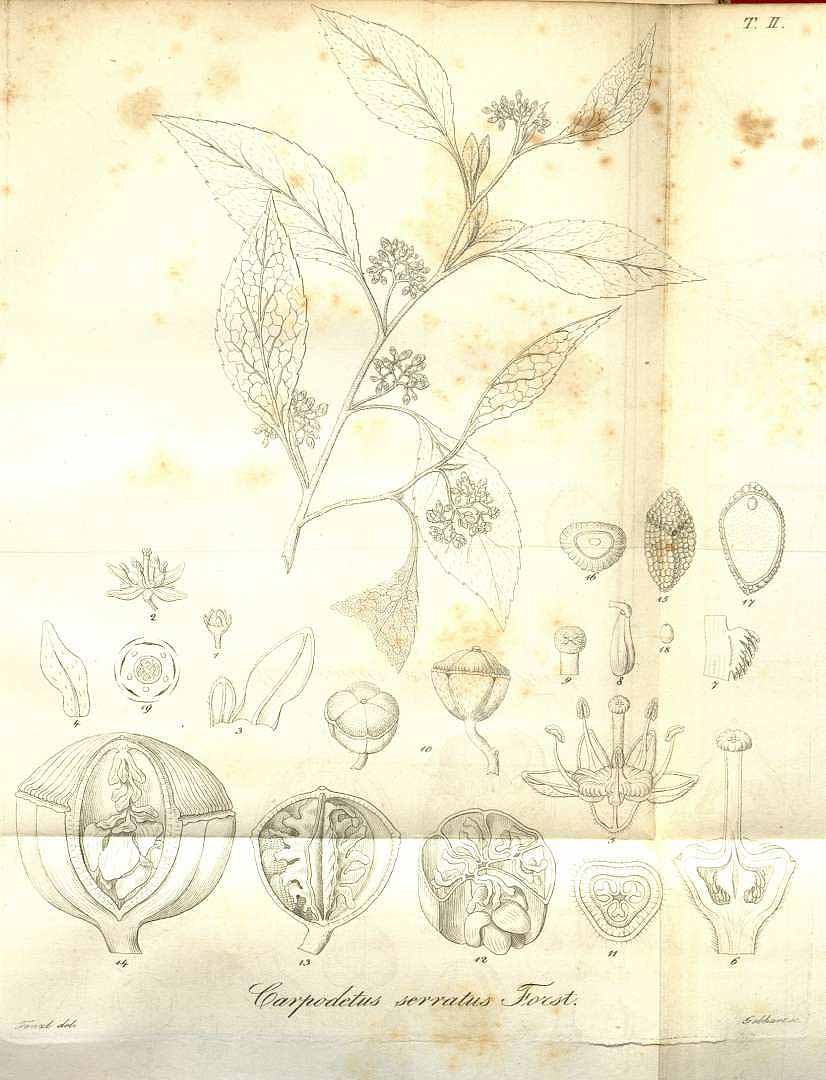 no HD illustration available (3)