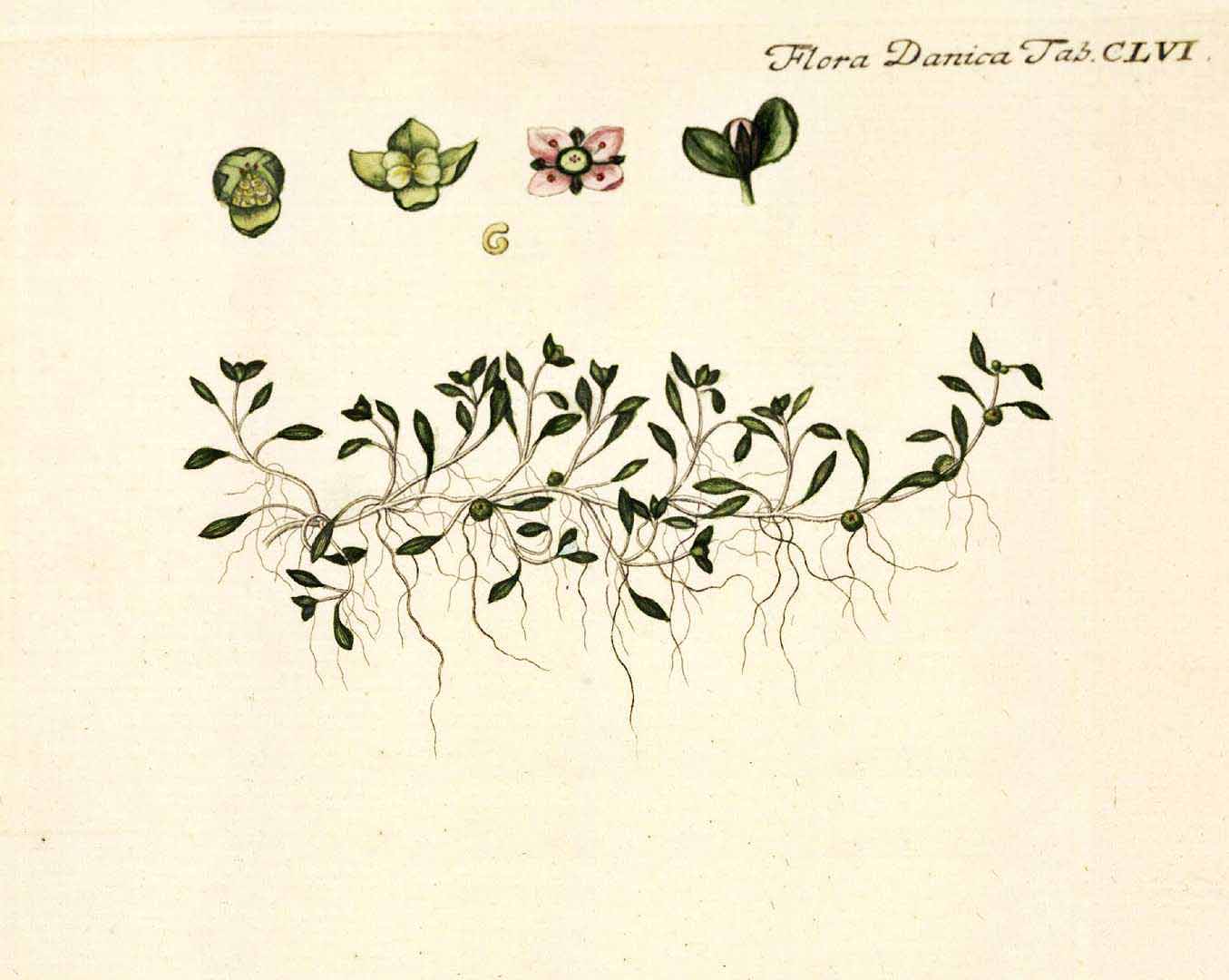 no HD illustration available (3)