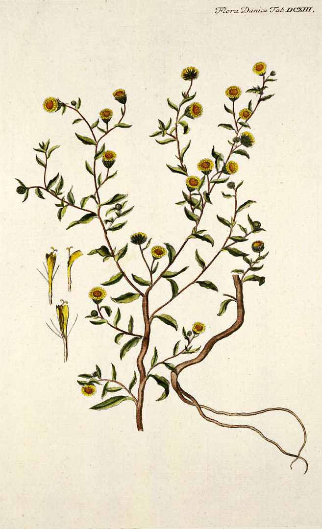 no HD illustration available (3)