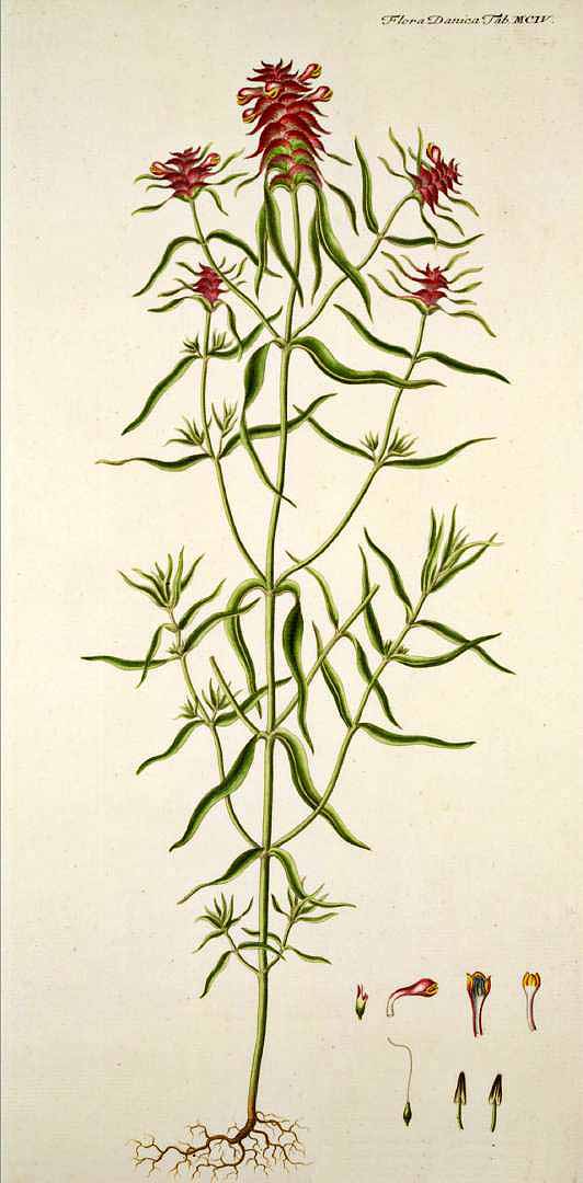 no HD illustration available (3)