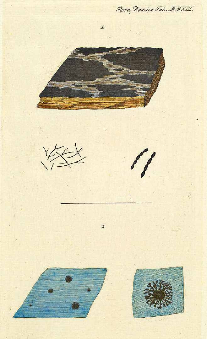 no HD illustration available (m1)