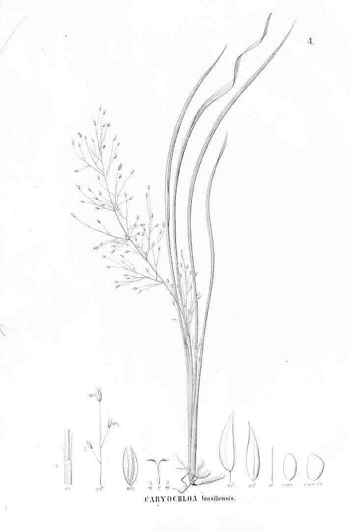 no HD illustration available (3)