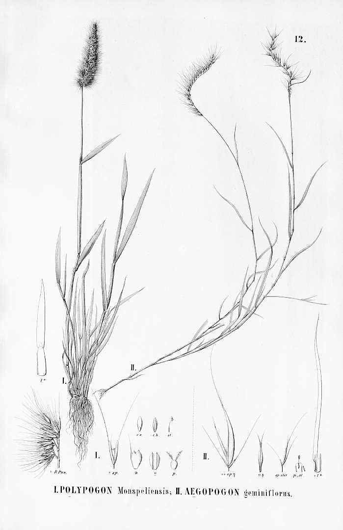 no HD illustration available (3)