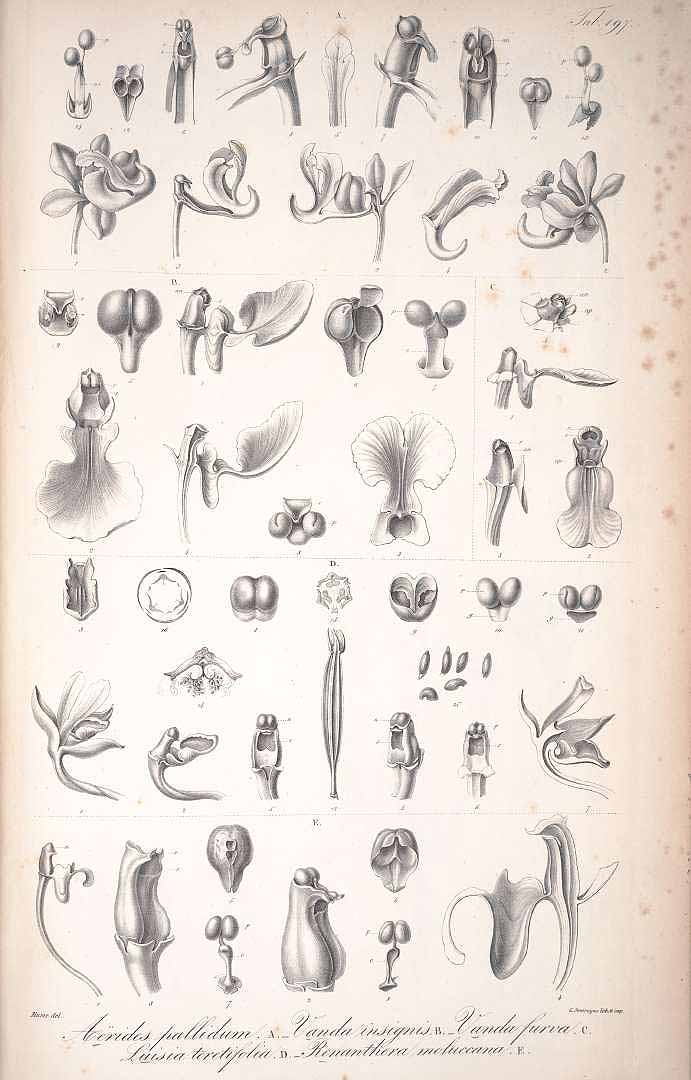 no HD illustration available (m1)