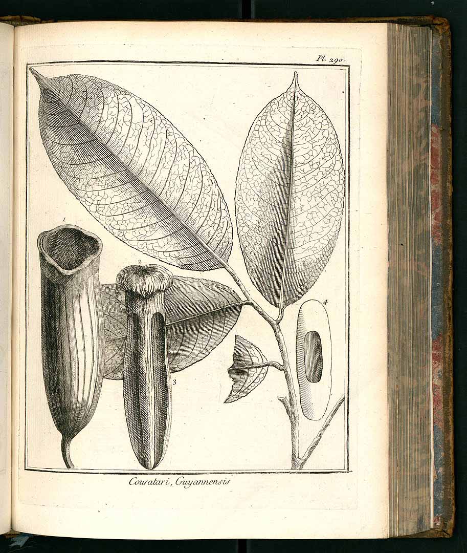no HD illustration available (3)