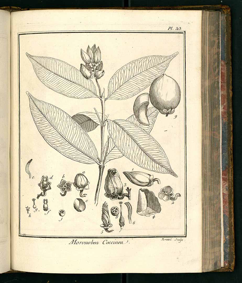 no HD illustration available (3)