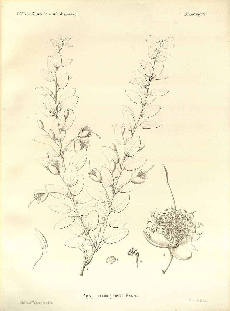 no HD illustration available (3)