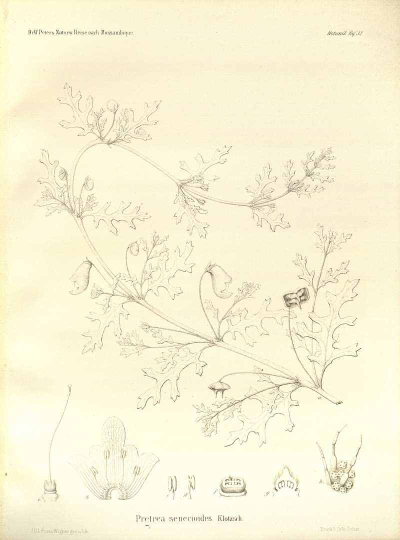 no HD illustration available (3)