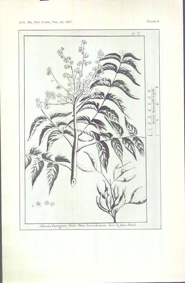no HD illustration available (3)